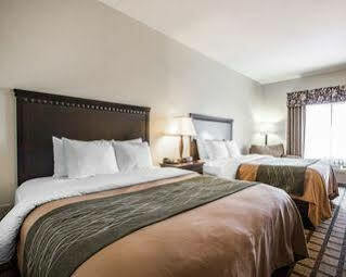Quality & North Hotel 2*