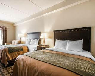 Quality & North Hotel 2*